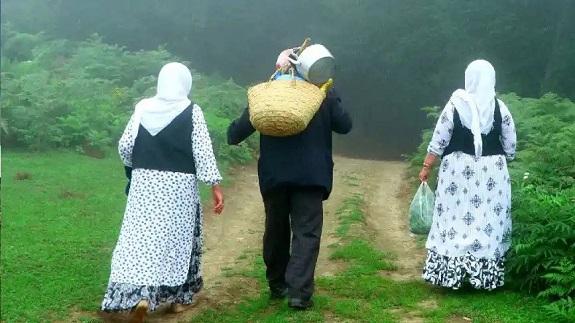 مریان گیلان
