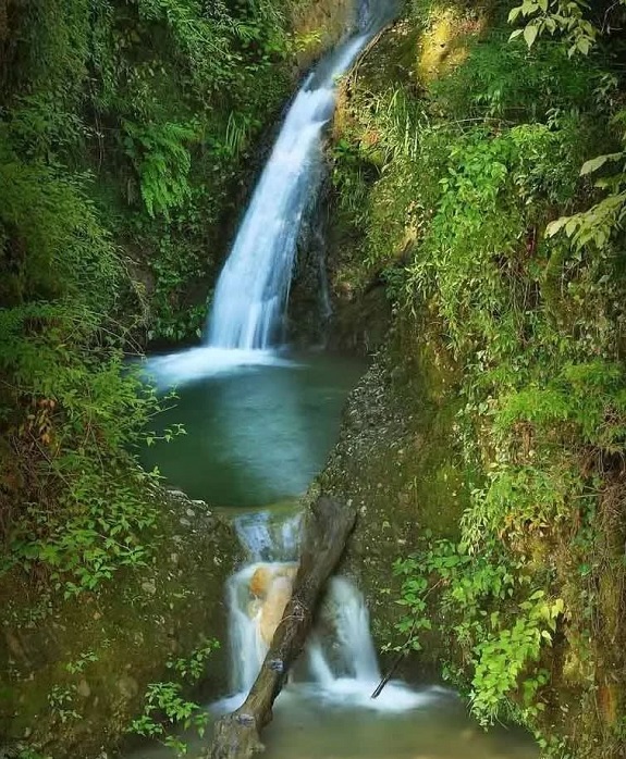پلنگ دره کجاست؟
