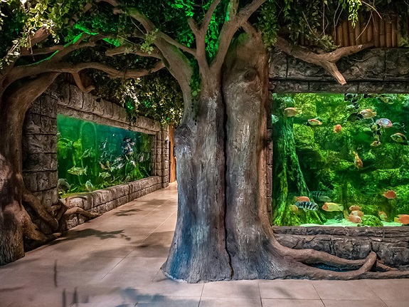 آمازون آکواریوم فانتستیک