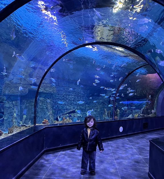 آکواریوم انزلی تونل