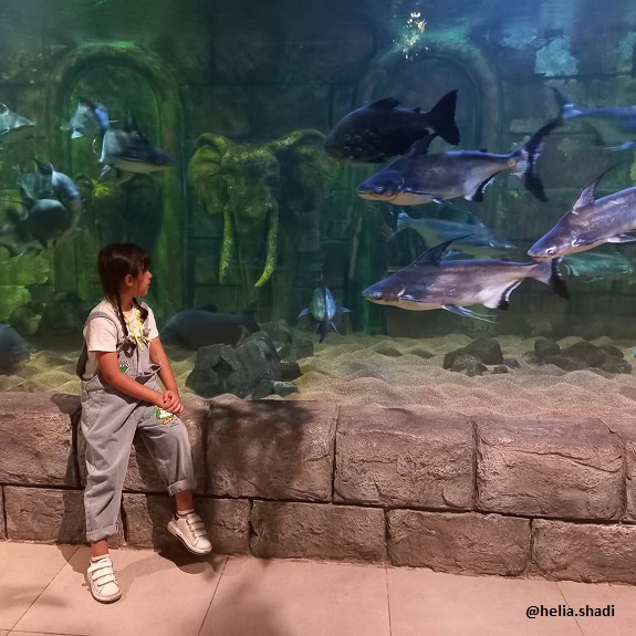 آکواریوم بندر انزلی