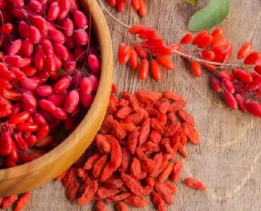 سوغات مشهد؛ طعم، رنگ و یادگاری‌های ناب