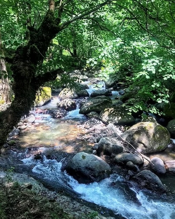 لوشکی کجاست