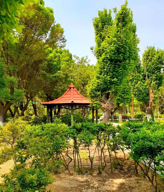 پارک سردار جنگل رودهن