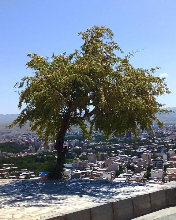 بروجرد سفر
