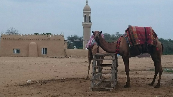 روستای باغو کیش