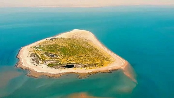 جزیره نخیلو