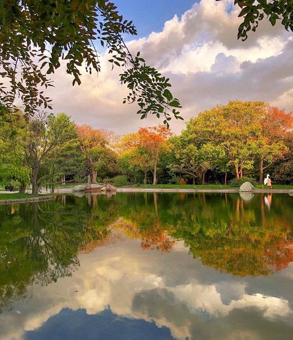  پارک جمشیدیه