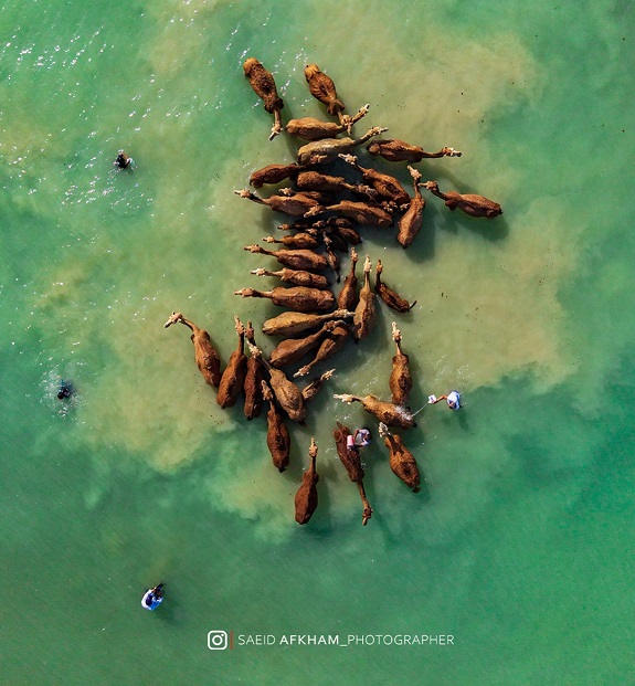 حمام اشتران