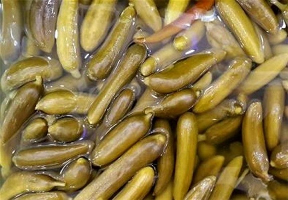 خیارشور بروجرد