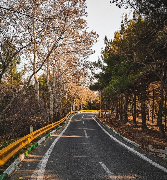 پارک جنگلی لویزان