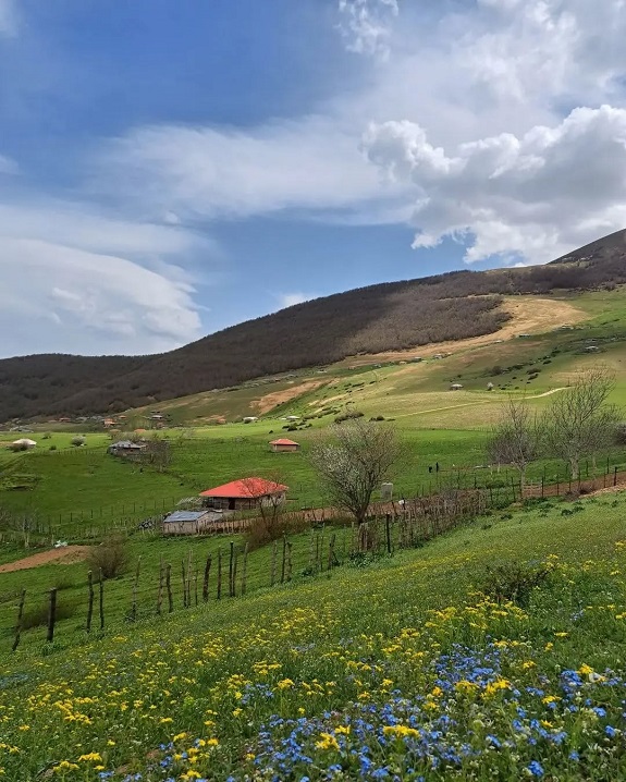 روستای ناو