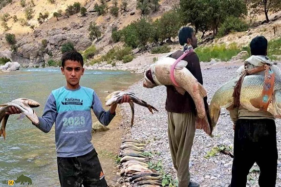 ماهیگیری شیهون