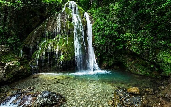 پارک جنگلی شقایق