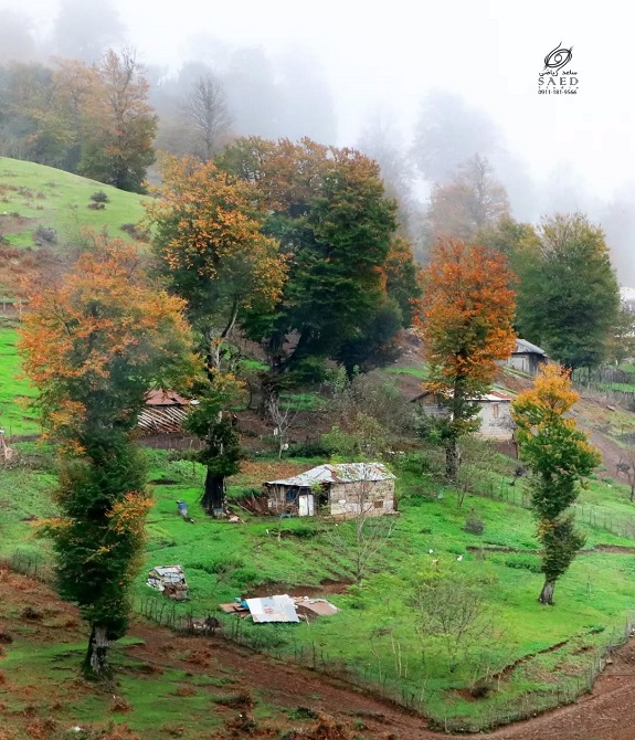 اسالم کجا بریم؟