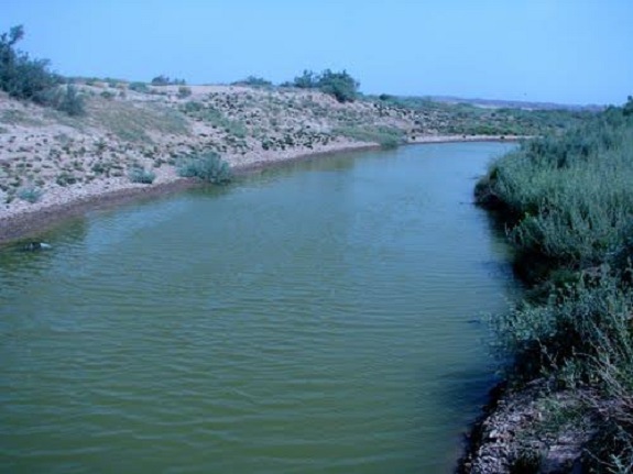 رودخانه شور