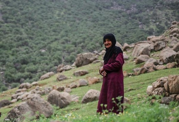 روستای شوی