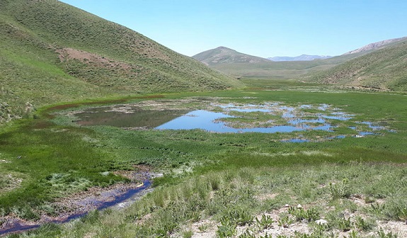 دریاچه ساهون