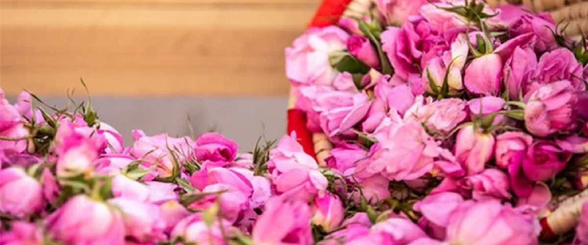 %D9%86%DB%8C%D8%A7%D8%B3%D8%B1 %DA%A9%D8%AC%D8%A7%D8%B3%D8%AA%D8%9F نیاسر، خنکای پنهانِ حوالی کاشان