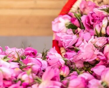 نیاسر، خنکای پنهانِ حوالی کاشان