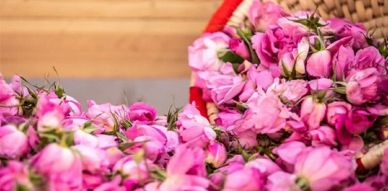 نیاسر، خنکای پنهانِ حوالی کاشان