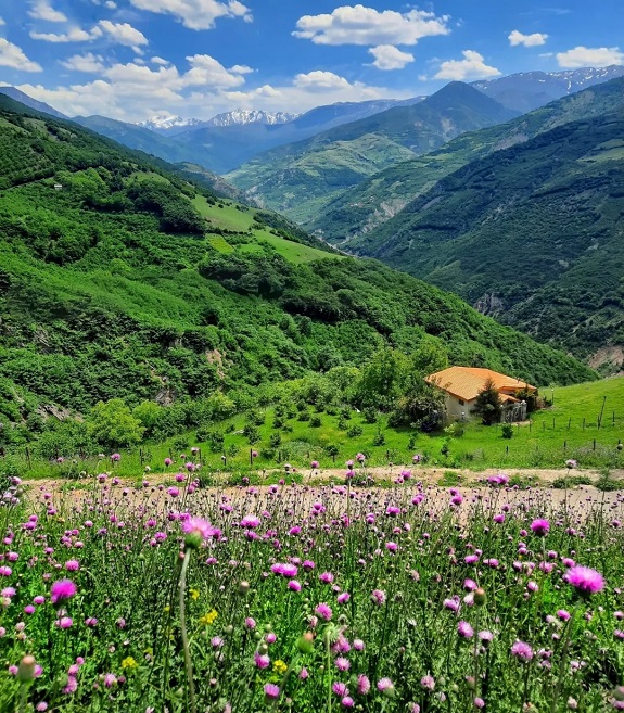 جاهای دیدنی اطراف آبشار میلاش