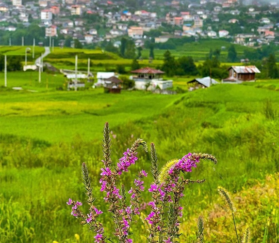 بهترین زمان سفر به روستای درازکلا