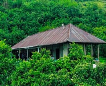 روستای درازکلا بابلکنار؛ سفر به قلب جنگل‌های هیرکانی