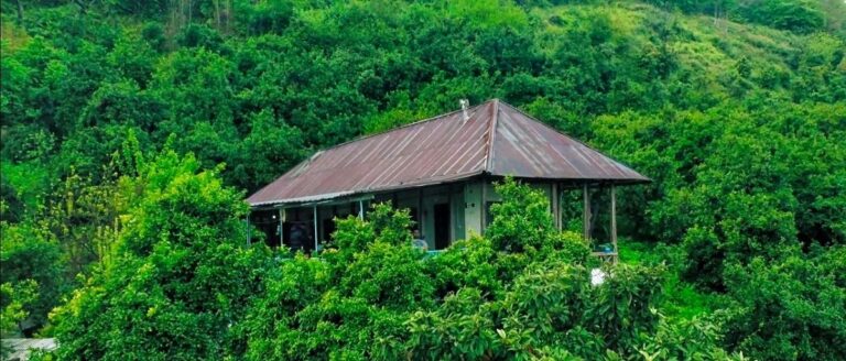 روستای درازکلا بابلکنار؛ سفر به قلب جنگلهای هیرکانی