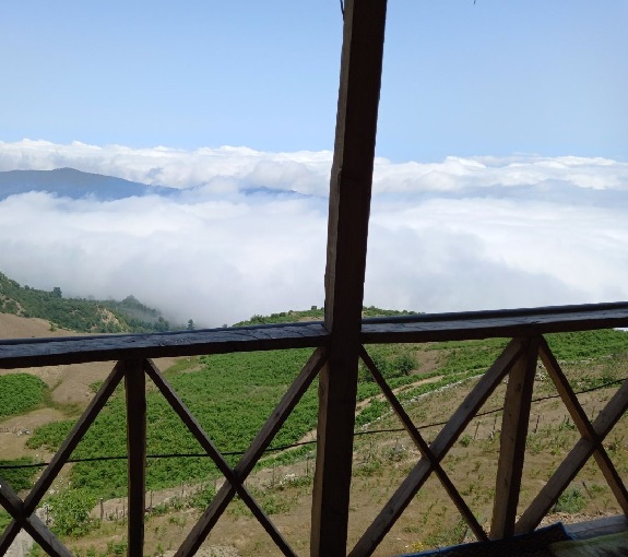 فصل سفر به چلاو