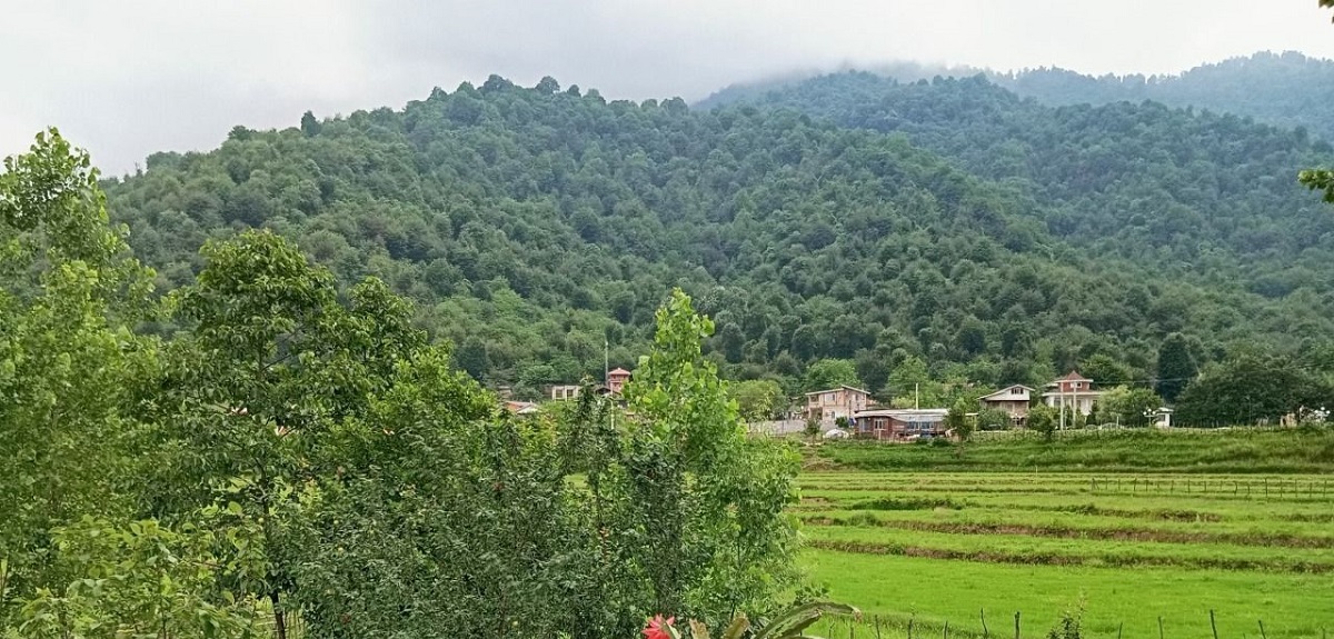 مرکیه کجاست