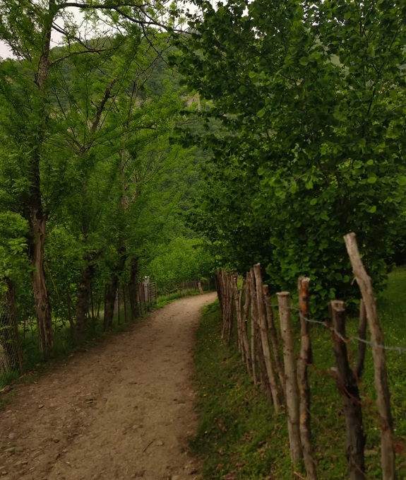 مسیر دسترسی به آبشار میلاش