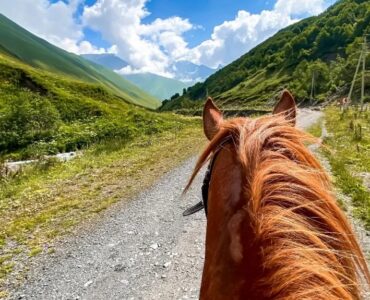 اسبسواری در شمال؛ از دل جنگل تا ساحل