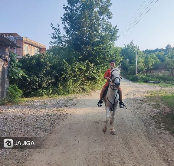 شیرگاه اسبسواری در شمال؛ از دل جنگل تا ساحل