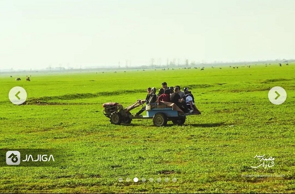 گاز گیشه 4 اسبسواری در شمال؛ از دل جنگل تا ساحل