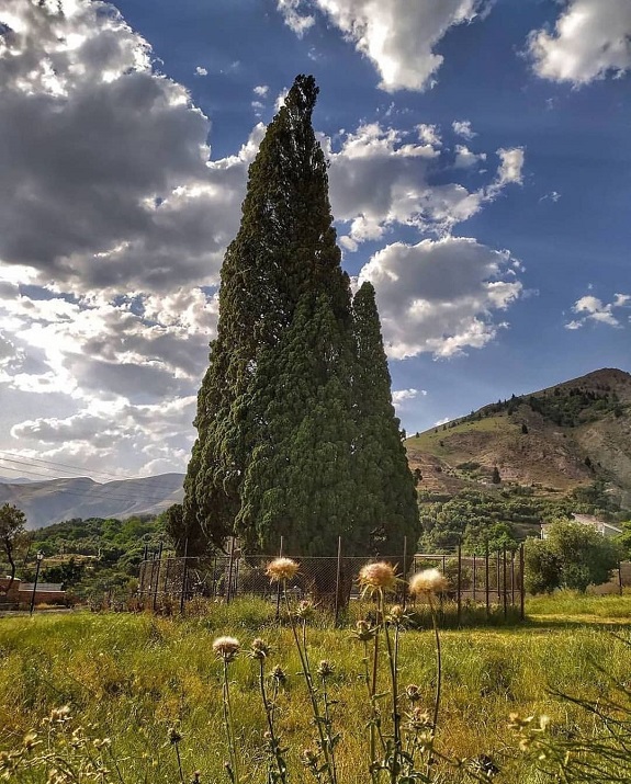فصل سفر منجیل