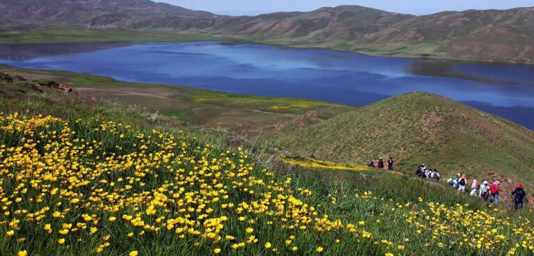 نئور کجاست