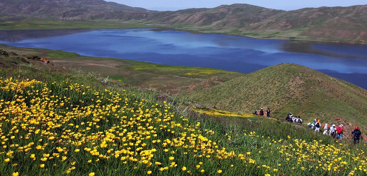 نئور کجاست