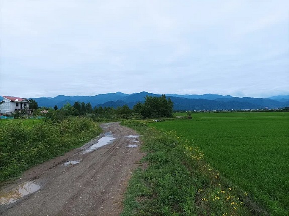 گتگسر تالش کجاست؟