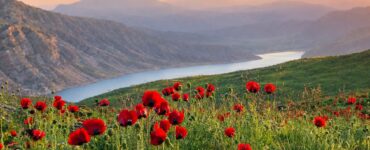 جاهای دیدنی پلور