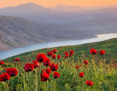 جاهای دیدنی پلور