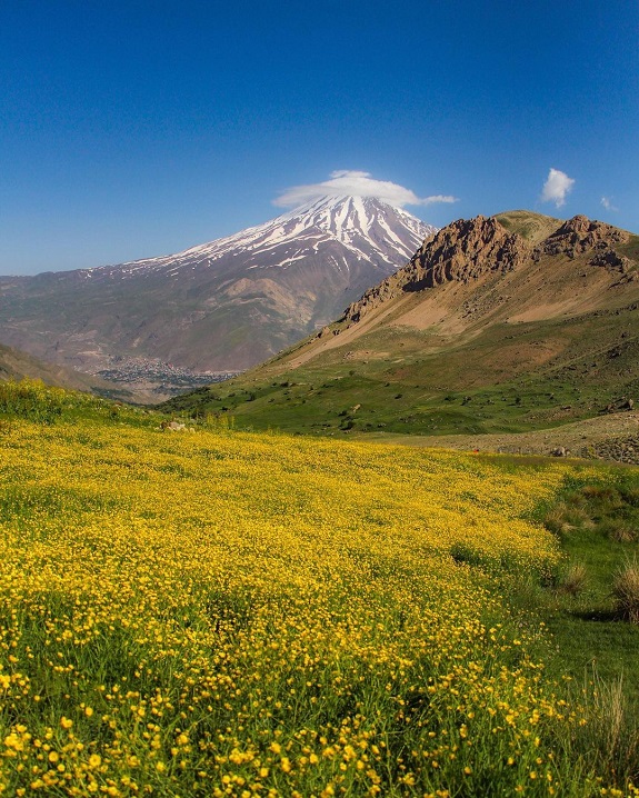 دشت آزو