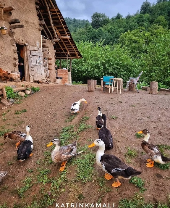 روستای لندویل