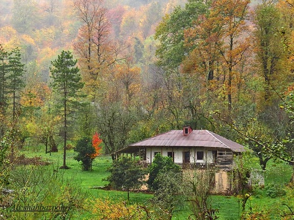روستای موشنگاه کجاست؟