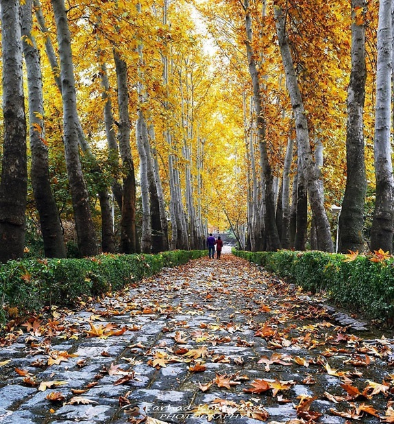 بهترین پارک های تهران در پاییز