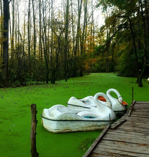 جاهای دیدنی موشنگاه و اطراف آن