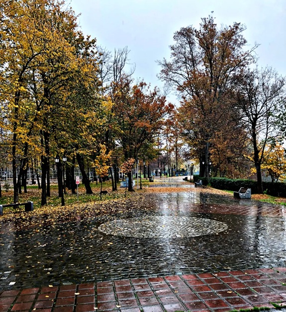 باغ محتشم رشت