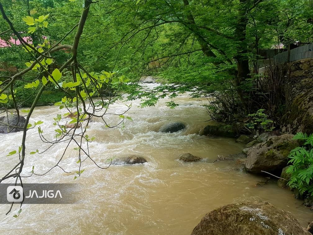 اجاره ویلا در ماسال لب رودخانه - طبقه پایین-12