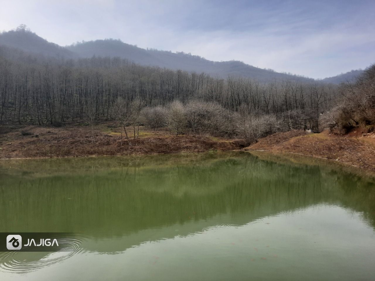 اجاره ویلا جنگلی در ماسال - آهکلان-41