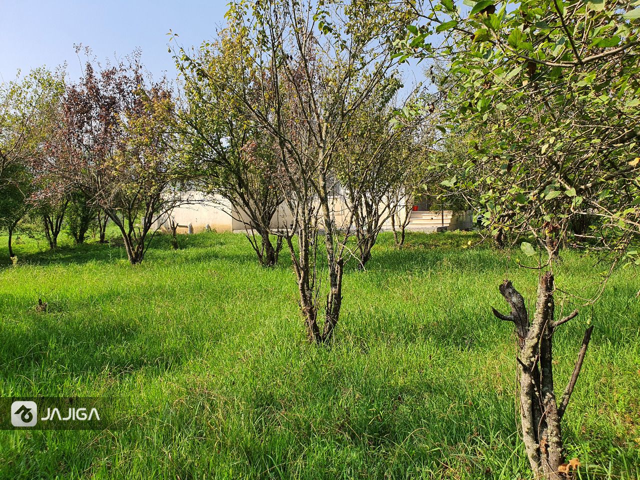 اجاره ویلا در ماسال -سه خوابه - پشت مخ-17